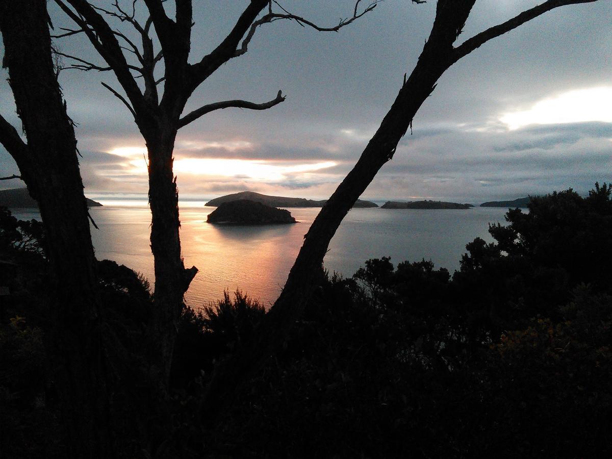Island View Experience Villa Coromandel Bagian luar foto