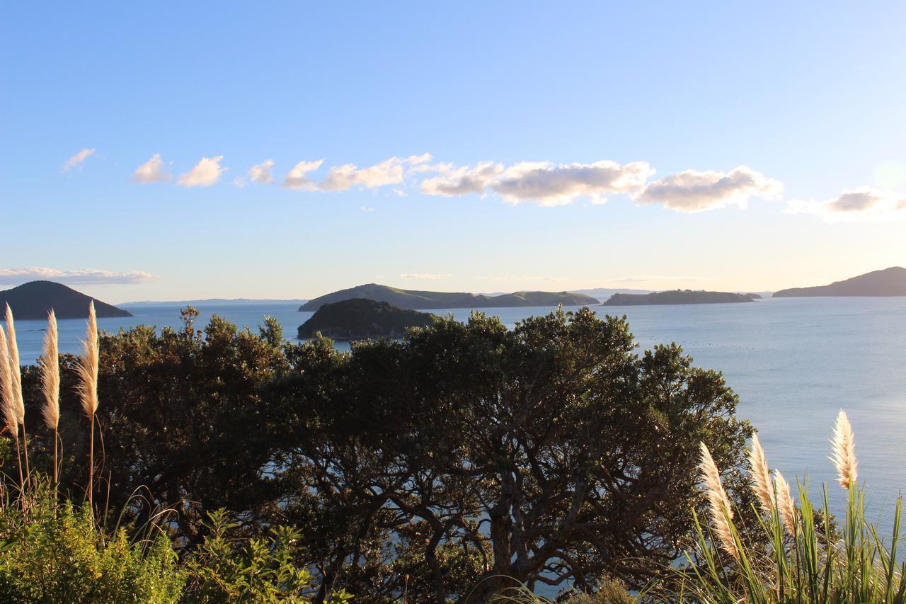 Island View Experience Villa Coromandel Bagian luar foto